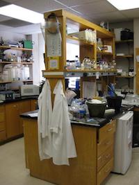 Zhang Lab