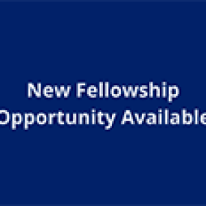 New Fellowship Opportunity